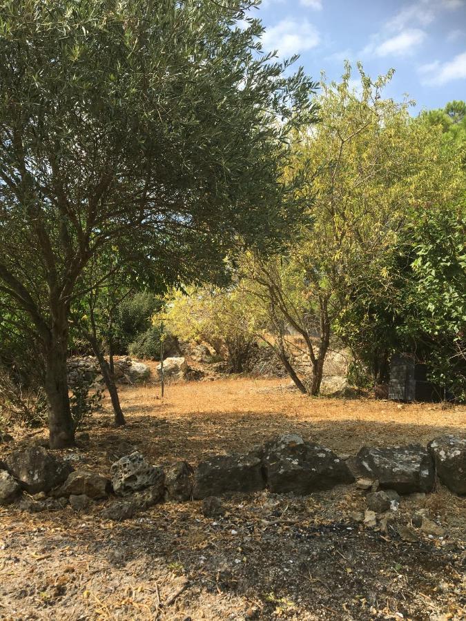 Chez Tatie Menie Bed & Breakfast Fraisse-des-Corbieres ภายนอก รูปภาพ