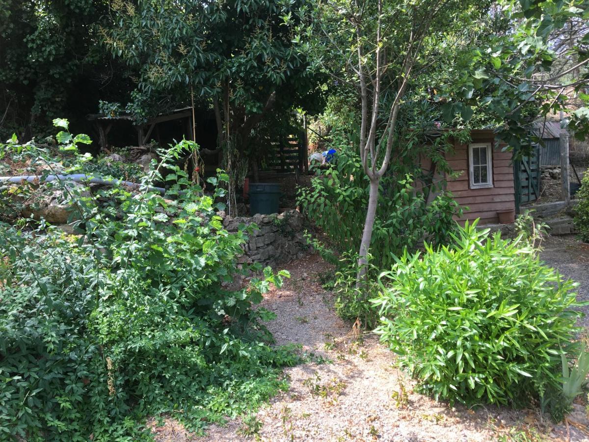Chez Tatie Menie Bed & Breakfast Fraisse-des-Corbieres ภายนอก รูปภาพ