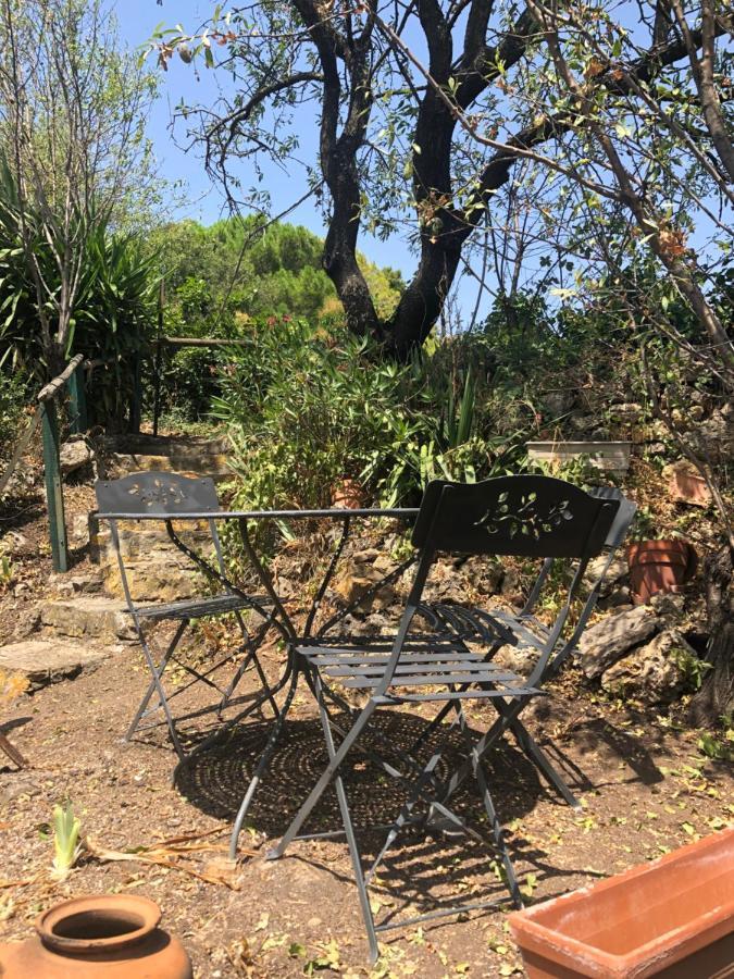 Chez Tatie Menie Bed & Breakfast Fraisse-des-Corbieres ภายนอก รูปภาพ