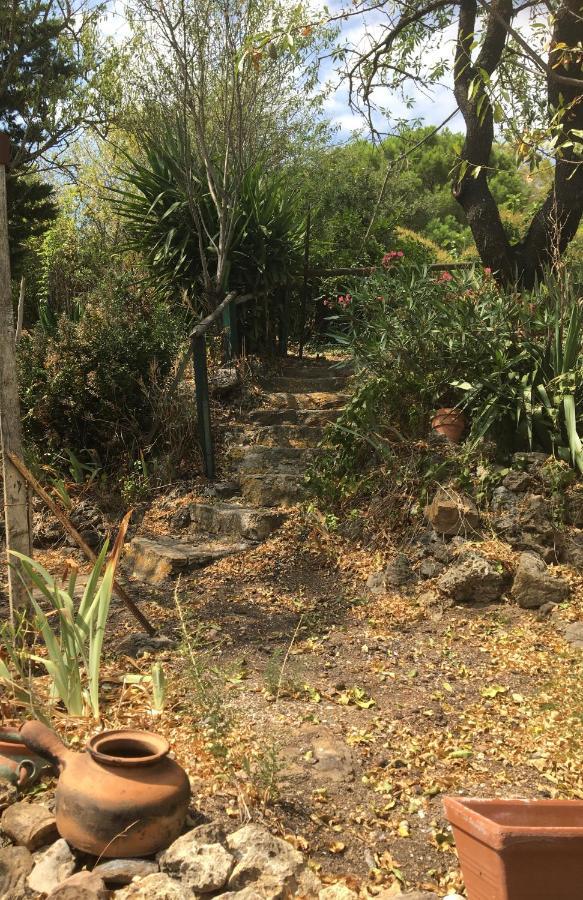 Chez Tatie Menie Bed & Breakfast Fraisse-des-Corbieres ภายนอก รูปภาพ